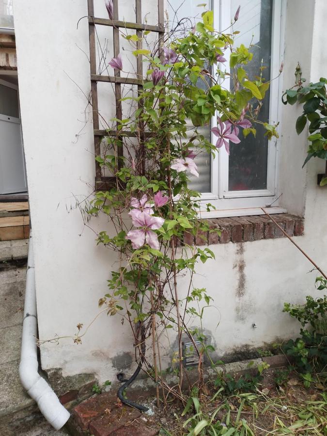 Residence Alexia Saint-Valery-en-Caux Dış mekan fotoğraf